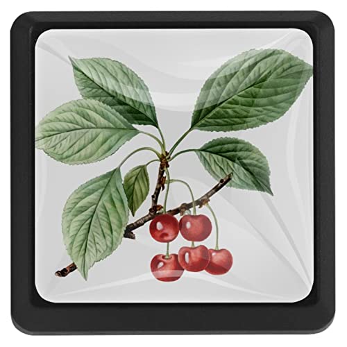 3 Stück Ast Küche Quadratisch Schubladenknöpfe 3 Stück Ast Küche Quadratisch Schubladenknöpfe