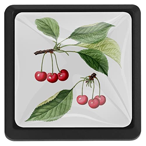 3 Stück Schrankknäufe Ast Küche Quadratisch Schrankknäufe Schubladenknöpfe 3 Stück Schrankknäufe Ast Küche Quadratisch Schrankknäufe Schubladenknöpfe