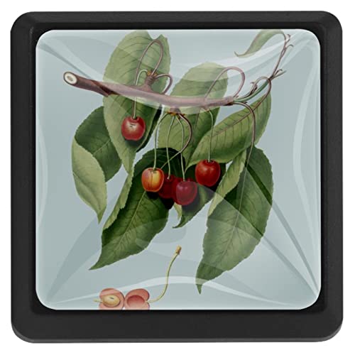 3 Stück Schrankknäufe Ast Küche Quadratisch Schrankknäufe Schubladenknöpfe 3 Stück Schrankknäufe Ast Küche Quadratisch Schrankknäufe Schubladenknöpfe